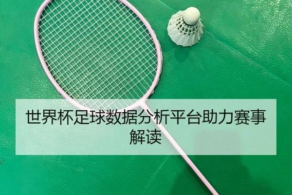 世界杯足球数据分析平台助力赛事解读