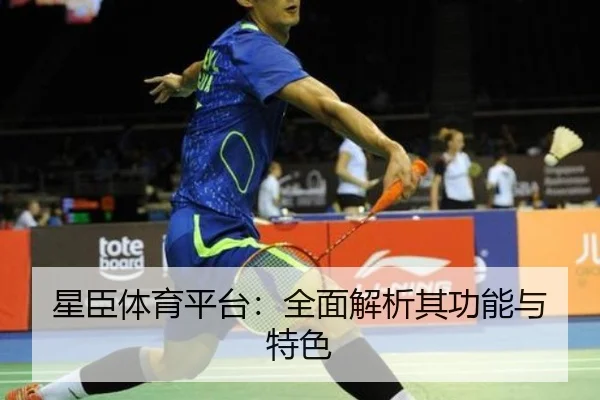 img_1781337399748_754_1_659.jpg