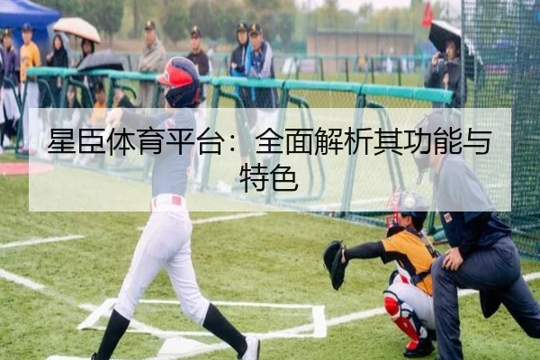 星臣体育平台：全面解析其功能与特色