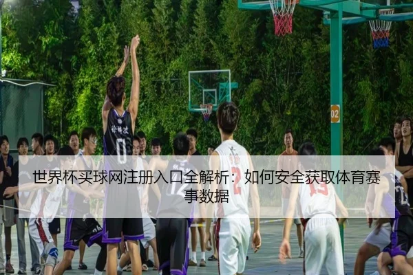 世界杯买球网注册入口全解析：如何安全获取体育赛事数据